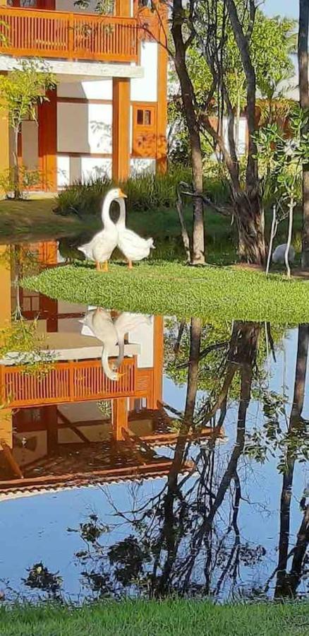 "Simplesmente Um Paraiso" Прайя-ду-Форте Экстерьер фото